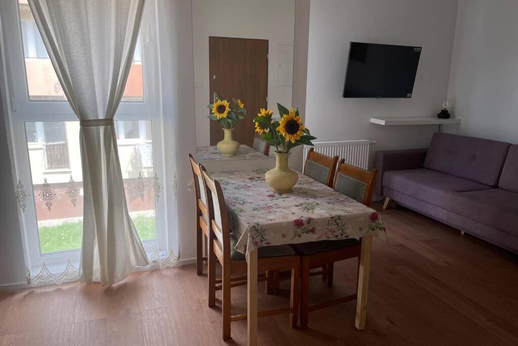 Apartament Seagull 30M2 Хель Экстерьер фото